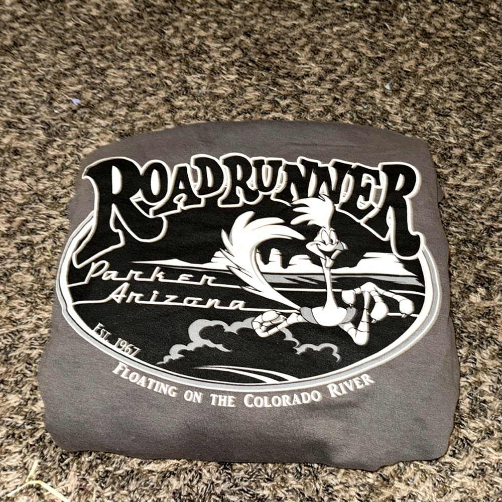 Roadrunner Looney Toons Hoodie